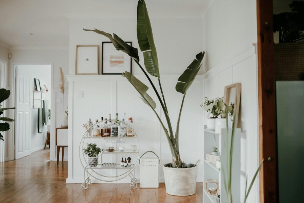 Cozy minimalist mess-free home featuring a stylish bar cart and lush plant for added elegance.